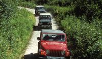 Ketchikan Super Saver: Off-Road Jeep and Canoe Safari Combo