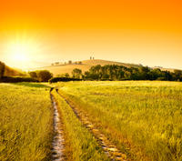 Small-Group Chianti and San Gimignano Sunset Trip from Siena