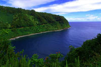 Small-Group Road to Hana Luxury Tour