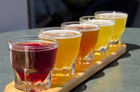 Small-Group Craft Brews and Bike Tour in San Francisco