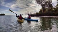 Guided Kayaking Tour on Niagara River from the US Side
