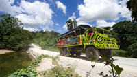 Compay Super Truck (Safari de día completo)