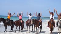 Paseo en caballo por la playa desde Las Terrenas