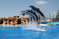 Marineland Dolphins Show and Water Park Admission Ticket with Transport from Costa Brava