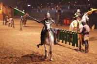 Valltordera Castle Medieval Tournament and Flamenco Show with Optional Dinner