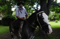 Gaucho Day Trip from Buenos Aires: Santa Susana Ranch