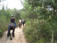 Horseback Riding Tour in Natural Park from Barcelona