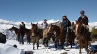 Mountain Horseback Riding Tour from Santiago