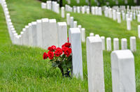 War Memorials and Arlington National Cemetery Tour
