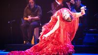 Flamenco puro: el mejor tour en Sevilla con cóctel español