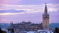 Catedral de Sevilla y la Giralda: vive la mejor visita privada
