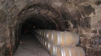 El mejor recorrido vinícola a la Ribera del Duero desde Madrid