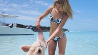 La mejor visita a la isla de los cerdos de Bahamas en lancha motor