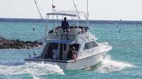Excursión de pesca en alta mar desde Punta Cana