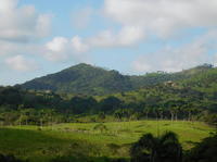 Monkey Land Explorer desde Punta Cana