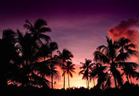 Vuelos nocturnos con champán sobre Punta Cana en helicóptero