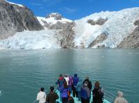 Northwestern Fjord Sightseeing Cruise from Seward