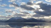 Turnagain Arm and Portage Valley Private Tour