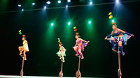 Acrobatic Show and Beijing Duck Dinner with Private Hotel Transfer