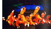 Beijing Private Tour: Shaolin Kung Fu Show and Gourmet Peking Roasted Duck Dinner with Private Trans