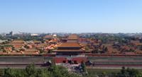 Full-Day Beijing Tour: Forbidden City, Tiananmen Square and Cooking Class at Private Courtyard