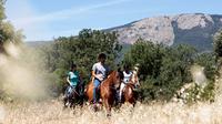 Paseo a caballo y picnic de tapas en Madrid con ayuda de un guía experto