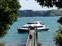 Coromandel Ferry Ticket from Auckland