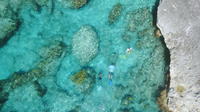 Recorrido por Edge of the Banks: los mejores arrecifes del Caribe
