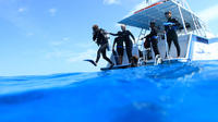 El mejor tour de submarinismo en playas de Islas Turcas y Caicos