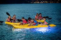 Night Kayak Tour in St Thomas