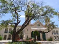 Bridgetown Walking Tour in Barbados