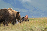 Alaska Bear Country Day Trip to Katmai or Lake Clark by Airplane