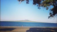 Half-Day Takapuna Food and Culture Tour from Auckland