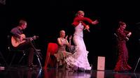 Tapas y flamenco en Madrid: el mejor espectáculo de España