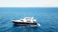 Joyas del Golfo Sarónico: crucero de un día a Hydra, Poros, Moni y Aegina