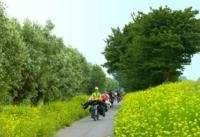 Amsterdam Countryside Bike Tour Including Cheese Tasting and Clog Demonstration