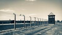 Visita guiada a Auschwitz-Birkenau con el mejor transporte privado
