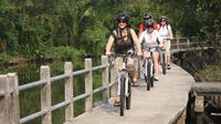 Shore Excursion: Bangkok Jungle Tour by Bicycle from Laem Chabang