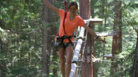 Aerial Treetop Adventure Course