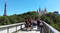 Lyon Electric Bike Tour with Food Tasting