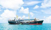 Antigua D-Boat Adventure with Optional Stingray City Tour