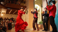 Entrada al gran espectáculo de flamenco en la Casa de la Memoria