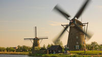 Small Group Tour to UNESCO World Heritage Kinderdijk and The Hague including Mauritshuis from Amster