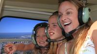 Private Tour: Southern California Coastal Sights Helicopter Flight from San Diego