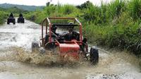 Buggy Tour desde Sosúa: el mejor paisaje del campo dominicano