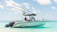 Pesca deportiva en Islas Turcas y Caicos: el mejor tour en el mar