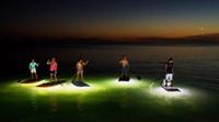 Illuminated Kayak or Stand-Up Paddleboard Tour in Vancouver