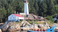 Vancouver City and Seals Scenic Boat Tour