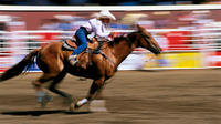 Calgary Stampede Including Overnight Accommodation