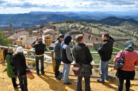 Priorat Wineries Tour from Barcelona Including Wine Tastings and Lunch